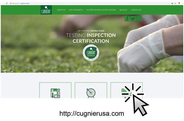 example website, developed by quint advertising