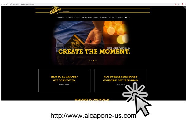 example website, developed by quint advertising