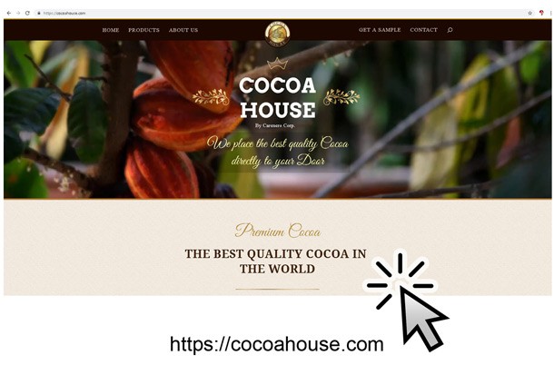 example website, developed by quint advertising