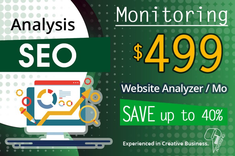 QuintAdvertising-Analyzer-SEO-499